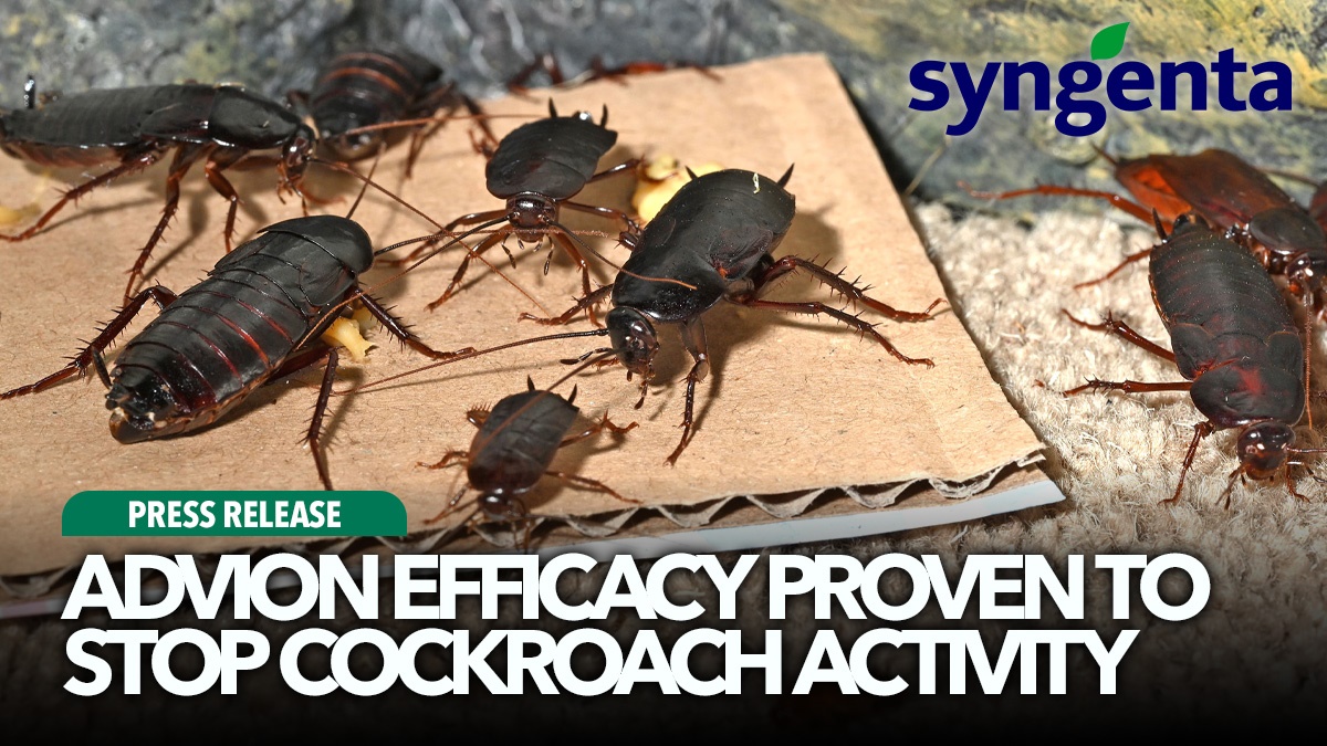 advion-efficacy-proven-to-stop-cockroach-activity-hero advion-efficacy-proven-to-stop-cockroach-activity-hero